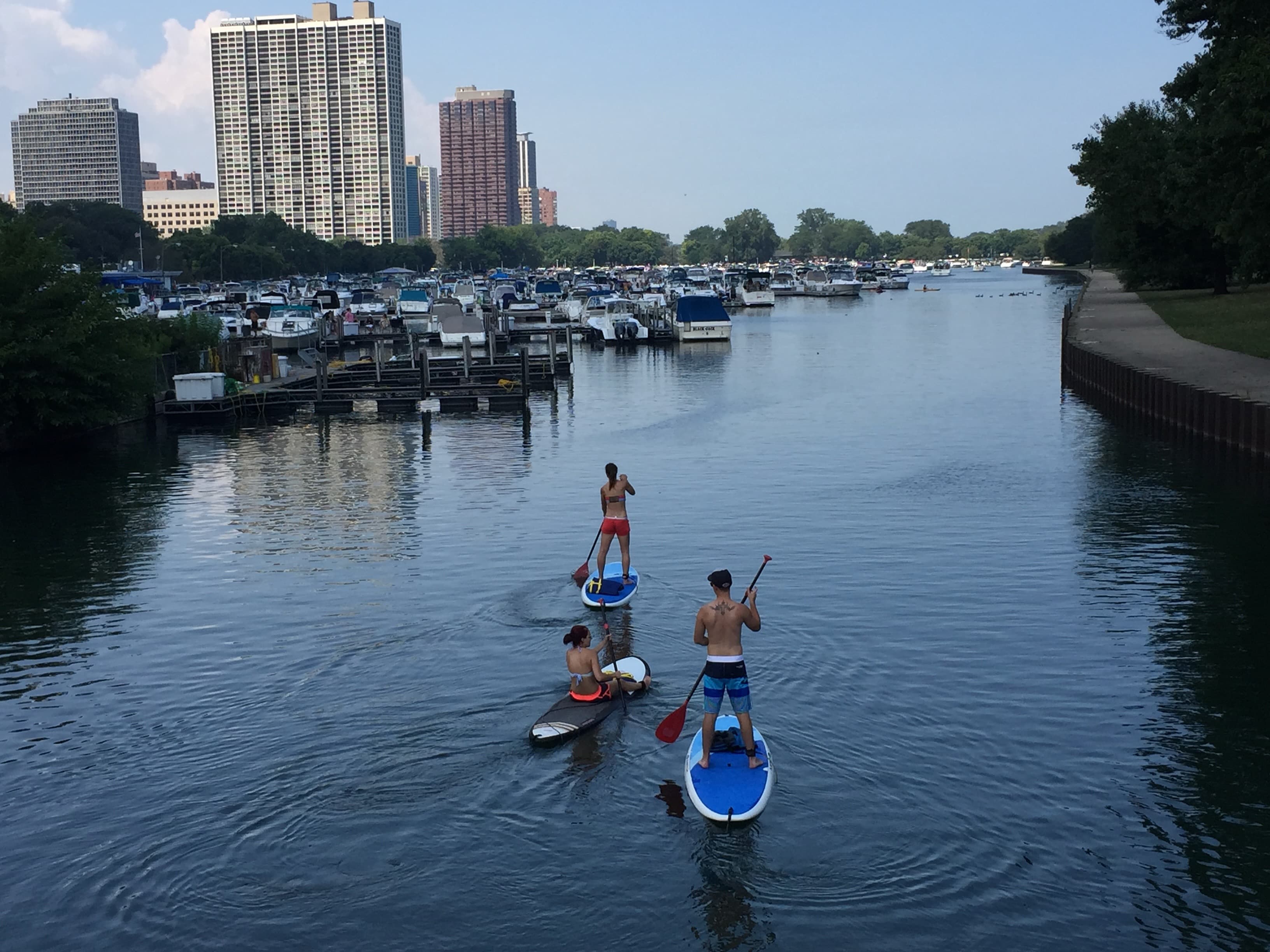 Urban Paddleboarders - Three paddleboarders glide across calm waters, cit...